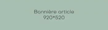 Trame bannière d'article